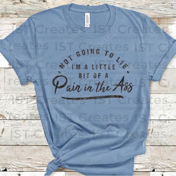 Pain in the A$$ T-shirt